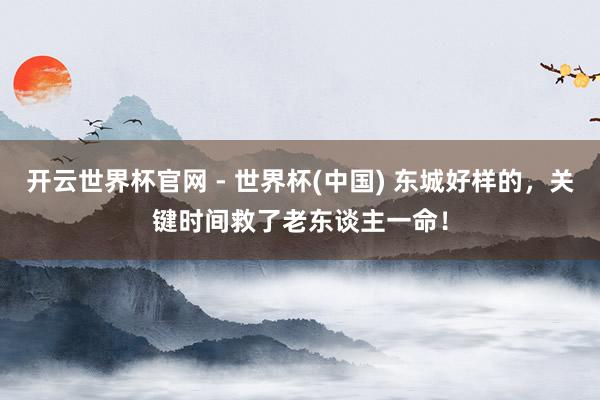 开云世界杯官网 - 世界杯(中国) 东城好样的，关键时间救了老东谈主一命！