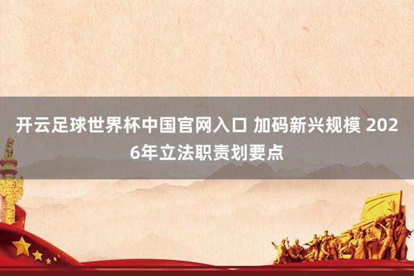 开云足球世界杯中国官网入口 加码新兴规模 2026年立法职责划要点