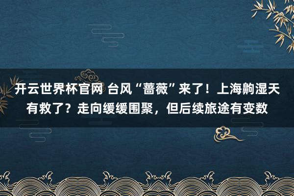 开云世界杯官网 台风“蔷薇”来了！上海齁湿天有救了？走向缓缓围聚，但后续旅途有变数