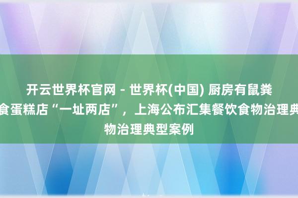 开云世界杯官网 - 世界杯(中国) 厨房有鼠粪、无堂食蛋糕店“一址两店”，上海公布汇集餐饮食物治理典型案例