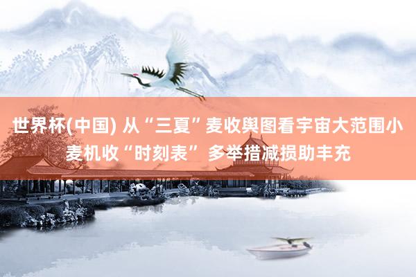 世界杯(中国) 从“三夏”麦收舆图看宇宙大范围小麦机收“时刻表” 多举措减损助丰充