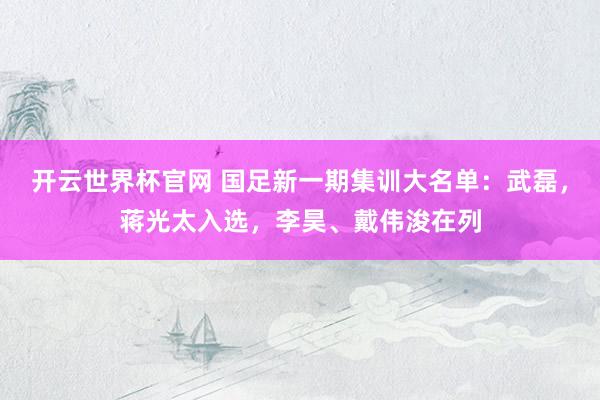 开云世界杯官网 国足新一期集训大名单：武磊，蒋光太入选，李昊、戴伟浚在列
