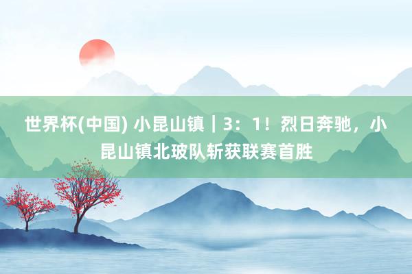 世界杯(中国) 小昆山镇｜3：1！烈日奔驰，小昆山镇北玻队斩获联赛首胜