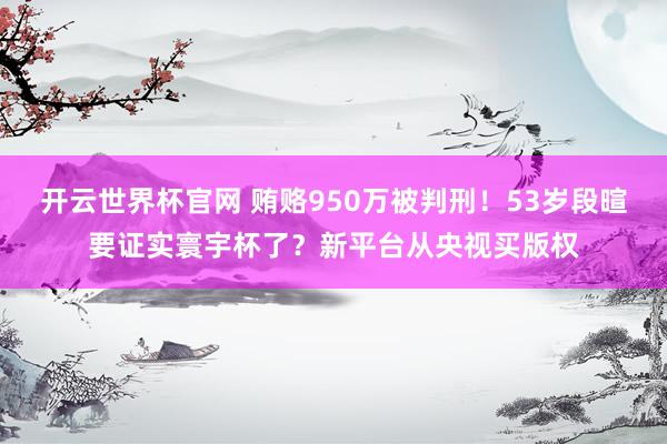 开云世界杯官网 贿赂950万被判刑！53岁段暄要证实寰宇杯了？新平台从央视买版权