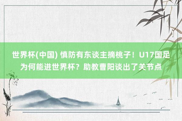 世界杯(中国) 慎防有东谈主摘桃子！U17国足为何能进世界杯？助教曹阳谈出了关节点