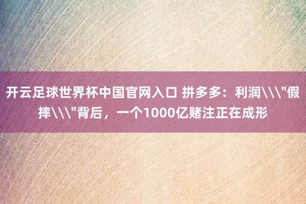 开云足球世界杯中国官网入口 拼多多：利润\