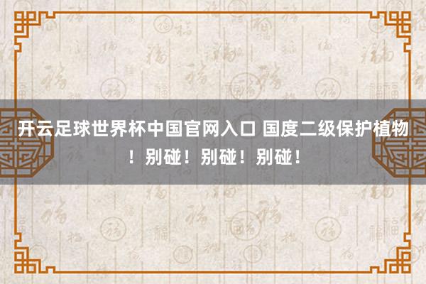 开云足球世界杯中国官网入口 国度二级保护植物！别碰！别碰！别碰！