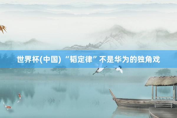 世界杯(中国) “韬定律”不是华为的独角戏