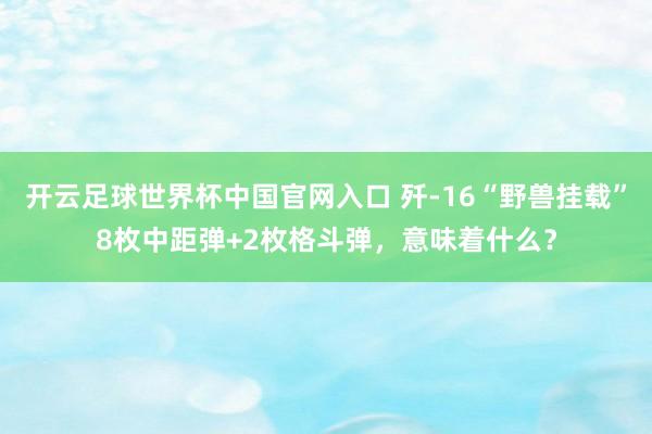 开云足球世界杯中国官网入口 歼-16“野兽挂载”8枚中距弹+2枚格斗弹，意味着什么？
