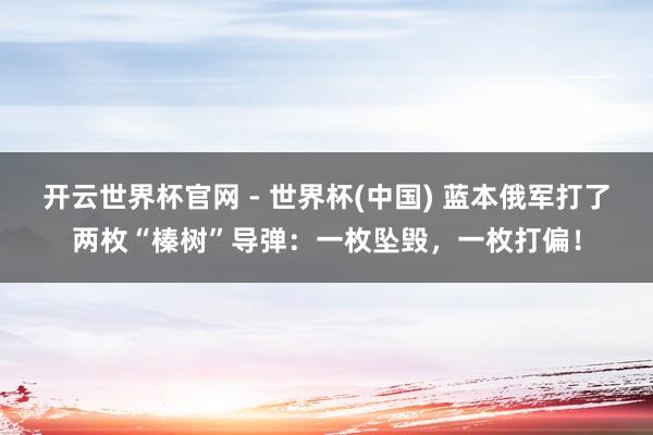 开云世界杯官网 - 世界杯(中国) 蓝本俄军打了两枚“榛树”导弹：一枚坠毁，一枚打偏！