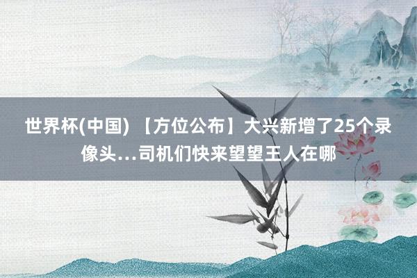 世界杯(中国) 【方位公布】大兴新增了25个录像头…司机们快来望望王人在哪