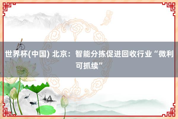 世界杯(中国) 北京：智能分拣促进回收行业“微利可抓续”