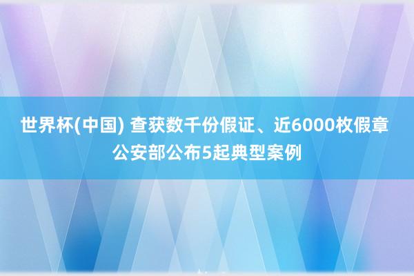 世界杯(中国) 查获数千份假证、近6000枚假章 公安部公布5起典型案例