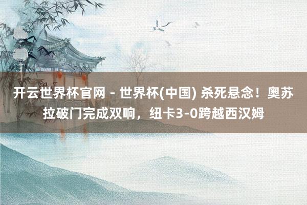 开云世界杯官网 - 世界杯(中国) 杀死悬念！奥苏拉破门完成双响，纽卡3-0跨越西汉姆