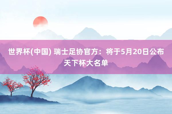 世界杯(中国) 瑞士足协官方：将于5月20日公布天下杯大名单