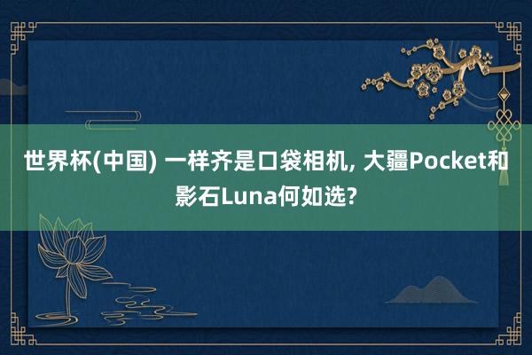 世界杯(中国) 一样齐是口袋相机， 大疆Pocket和影石Luna何如选?