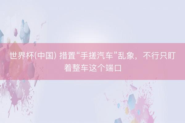 世界杯(中国) 措置“手搓汽车”乱象，不行只盯着整车这个端口