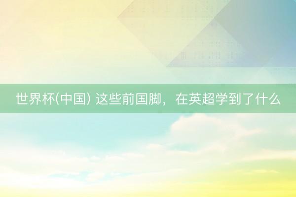 世界杯(中国) 这些前国脚，在英超学到了什么