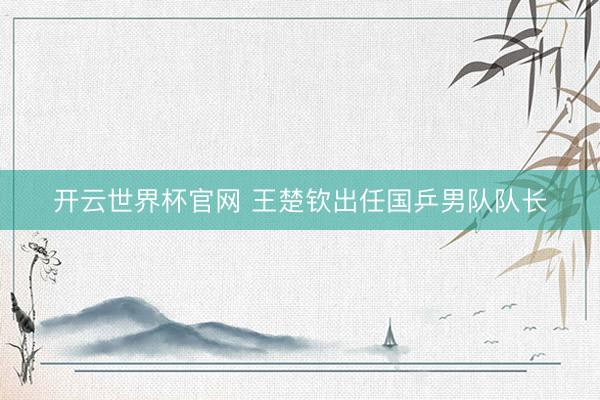 开云世界杯官网 王楚钦出任国乒男队队长