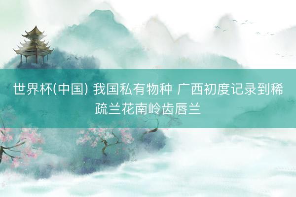 世界杯(中国) 我国私有物种 广西初度记录到稀疏兰花南岭齿唇兰