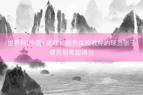 世界杯(中国) 进球！越秀体校栽种的球员张子健亮相粤超得分