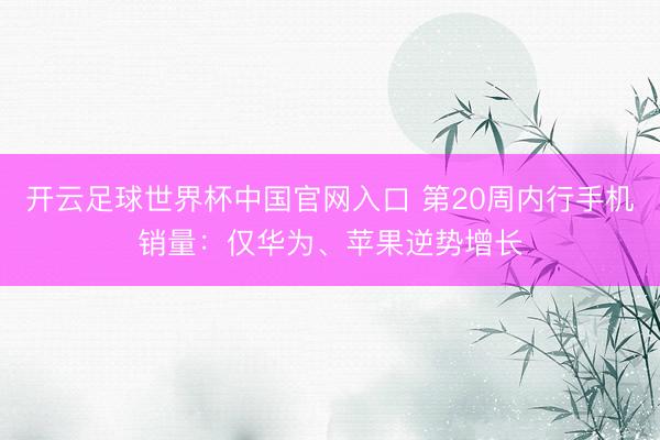 开云足球世界杯中国官网入口 第20周内行手机销量：仅华为、苹果逆势增长